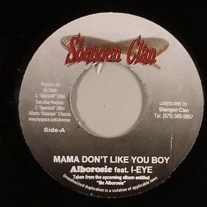 Mama Don't Like You Boy (Single)