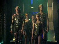 Le collectif Borg