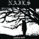 Pochette Unsilent Death