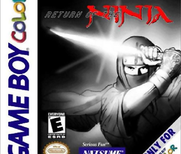 image-https://media.senscritique.com/media/000010792119/0/Return_of_the_Ninja.png