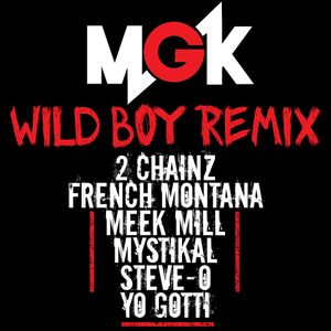 Wild Boy (remix)