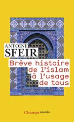 Couverture Brève histoire de l'islam à l'usage de tous Couverture Brève histoire de l'islam à l'usage de tous