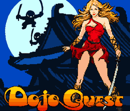 image-https://media.senscritique.com/media/000010821837/0/Dojo_Quest.png