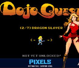 image-https://media.senscritique.com/media/000010821839/0/Dojo_Quest.jpg