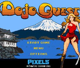 image-https://media.senscritique.com/media/000010821841/0/Dojo_Quest.jpg