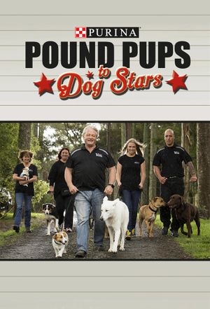 Purina Pound Pups To Dog Stars