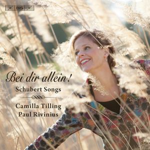 Bei dir allein!: Schubert Songs