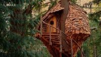 The Coolest Treehouse Ever Built