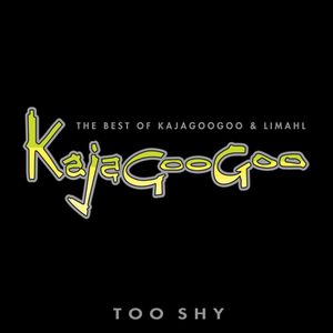 The Best of Kajagoogoo & Limahl