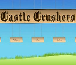 image-https://media.senscritique.com/media/000010934453/0/Castle_Crushers.jpg