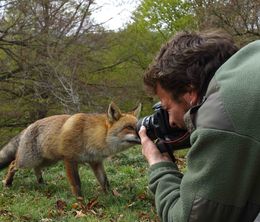 image-https://media.senscritique.com/media/000010981945/0/sur_les_traces_du_renard.jpg