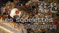 Les squelettes de diamants