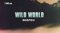 Wild World: Borneo
