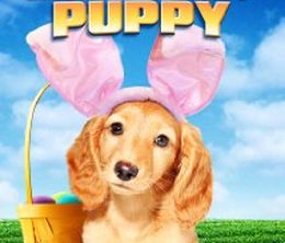 image-https://media.senscritique.com/media/000011095203/0/an_easter_bunny_puppy.jpg