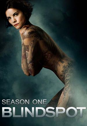 Blindspot - Saison 1