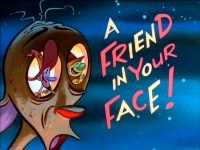 A Friend In Your Face!