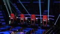 Blind Auditions (3)