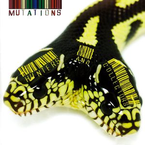 Mutations