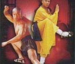 image-https://media.senscritique.com/media/000011187938/0/la_fureur_des_maitres_de_shaolin.jpg