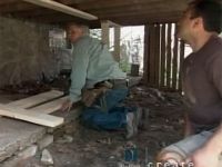 Repairing a Deck; Hydrangea Bush