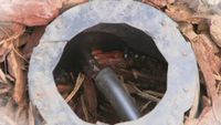 Reusing Water From a Washing Machine; Small Gasoline Engines