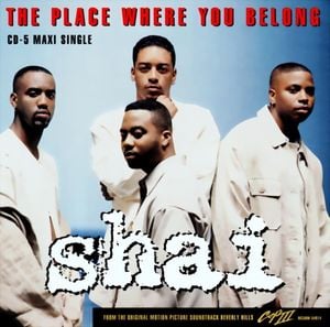 The Place Where You Belong (Single)