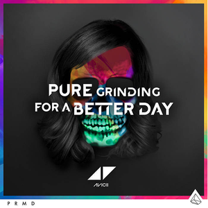 Pure Grinding / For a Better Day (Single)