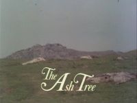 The Ash Tree