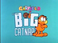 The Big Catnap