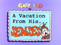 A Vacation From His Senses