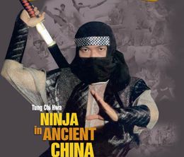 image-https://media.senscritique.com/media/000011271553/0/ninja_in_ancient_china.jpg