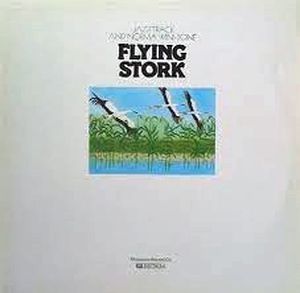 Flying Stork