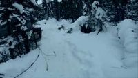 Last Days of Winter