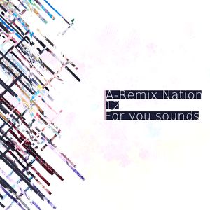A-Remix Nation vol. 12