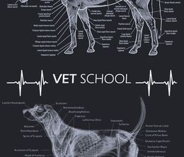 image-https://media.senscritique.com/media/000011290446/0/vet_school.jpg