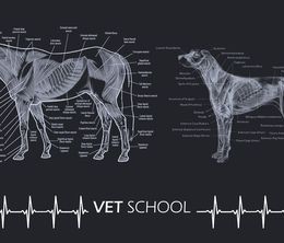 image-https://media.senscritique.com/media/000011290447/0/vet_school.jpg