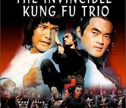image-https://media.senscritique.com/media/000011296589/0/the_invincible_kung_fu_trio.jpg