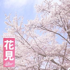 Hanami