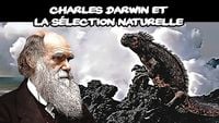 Charles Darwin & la sélection naturelle