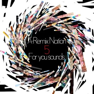 A-Remix Nation vol.5