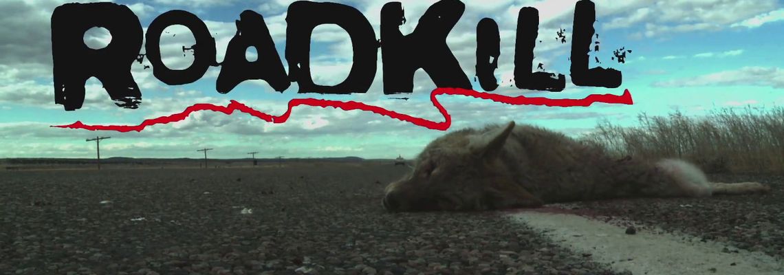 Cover Roadkill