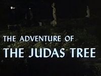 The Adventure of the Judas Tree