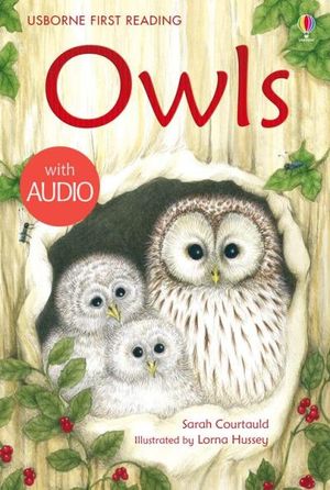 Owls: Usborne First Reading: Level Four