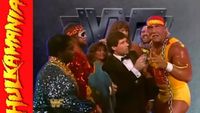 OSW Review #10 - WWF Survivor Series 1988