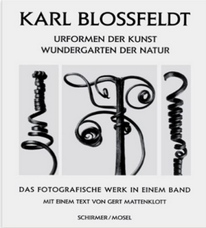 Karl Blossfeldt  : Art Forms in Nature