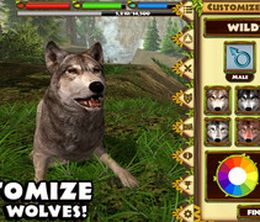 image-https://media.senscritique.com/media/000011366533/0/Ultimate_Wolf_Simulator.jpg