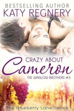 Crazy about Cameron, The Winslow Brothers #3