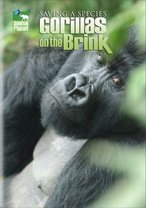 Saving a Species: Gorillas on the Brink