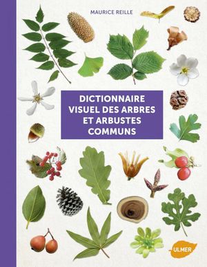 Dictionnaire visuel des arbres et des arbustes communs