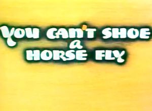 You Can't Shoe a Horse Fly